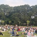 담빛시네콘서트 이미지