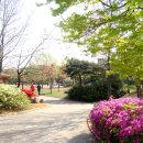 일동라스베가스 공원 이미지