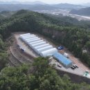 승희네농장 | 소중한 선물들 난각 1번 계란 이벤트 소식