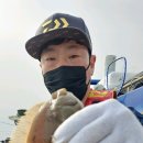 참가자미 이미지