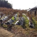 와초리농장 이미지