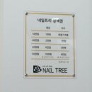 네일트리 - 창원시 진해구 | 네일트리