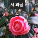 어디로 가야 하나 / 안귀숙 이미지