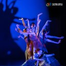 강원예술고등학교 이미지