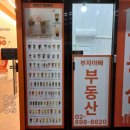 피에스타7커피광명무역