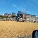 구주목장 이미지