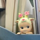 체리블라썸 | [택배] 소니엔젤 체리블라썸 히퍼 언박싱 후기