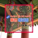 장군마을1길 | 통영 놀거리 동피랑 벽화마을 동피랑사진관 통영 데이트