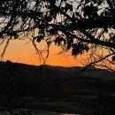 도곡길7 이미지