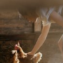 다원스마트팜 이미지