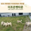 조은호텔 이미지