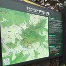 서대문구 안산 자락길 벚꽃시즌 종반 트래킹 갑니다, 이미지