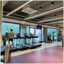 애니타임피트니스 종합운동장점 | 잠실새내 헬스장 애니타임피트니스 종합운동장점