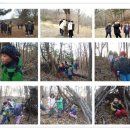 꿈꾸는 숲 이미지