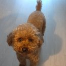 현대아울렛김포스케쳐스