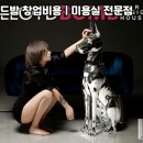 로이드밤 네이버블로그