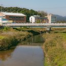 용인백암순대 - 전주시 완산구 소태정1길 12-3 | 용인백암순대