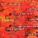 은지향