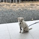 칠암 농장 이미지