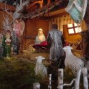 수원-2003 이미지