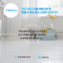 클린지아 네이버블로그