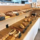 서초대로40길 72 (3) | 대구 비건빵 맛집 수성구 지산동 마마스팡 통밀빵 건강빵 식사빵 추천