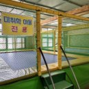 정이품송캠핑장 이미지