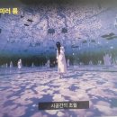 해비치아트페스티벌 | 제주 실내 아이랑 갈만한곳 빛의 벙커 내돈내산 만족후기 입장료할인