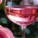 와인 인문학 이미지