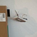 용산-이촌-216 이미지