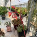 재수농장 이미지