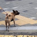 신기촌충전소 이미지