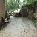 남양주월문초등학교 이미지