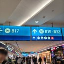 딜리버김 | 두바이공항 fix 두바이초콜릿 구매 위치, 방법, 가격, 후기