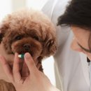 하이 동물병원 이미지