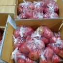 영준농장 이미지