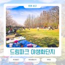 개나리어린이집 | 2026년 드림파크 야생화단지 벚꽃 구경 나들이 날씨 최고였음
