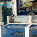 광어9900 | 광어1마리9900 <<이게 가게명인게 놀랍다 수원 회포장맛집