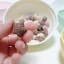 씨튼장애인직업재활센터 이미지