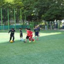 비룡합기도체육관 이미지