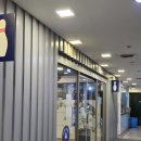 뉴 본 태권도 이미지