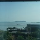 도항선 대합실 | [제주] 작고 아름다운 섬, 우도로 떠나다 / 성산포항에서 우도 가는 방법 / 우도 전기스쿠터 대여