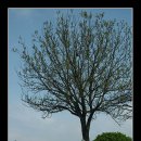 군내북초등학교 이미지