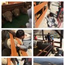 재영목장 이미지