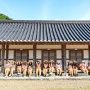 아이신도판매 이미지