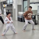 피어나라 태권도 이미지