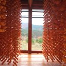 누리는농부 이미지