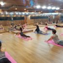 엔필라테스 이미지