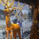 푸드이모티브 | 청담동 ssg :)에스에스지푸드 가볼만한곳 오렌지연필크루의 이모티브 견학 ^^