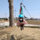 스카우트 그루터기 네이버블로그